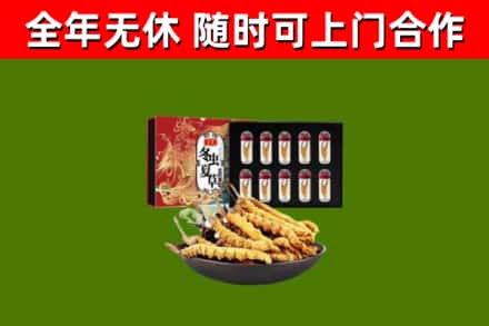 嘉定回收冬虫夏草价格